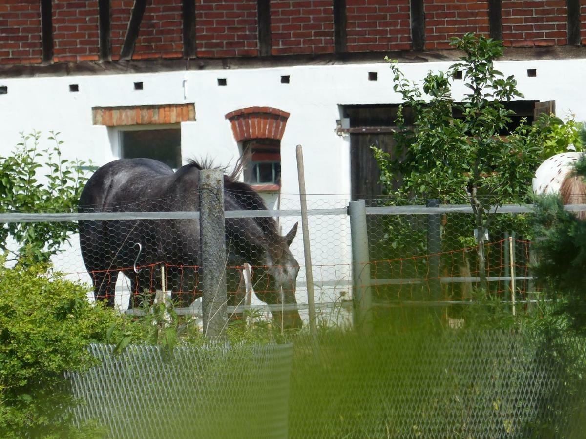 Ferienhaus Arendsee อาเรนด์เซ ภายนอก รูปภาพ